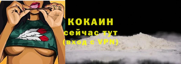 стафф Алексин