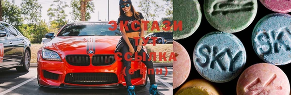 стафф Алексин