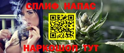 СК Моздок