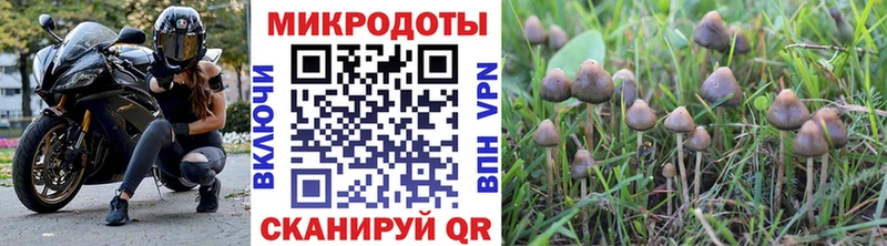 MEGA tor где можно купить Домодедово Галлюциногенные грибы мухоморы