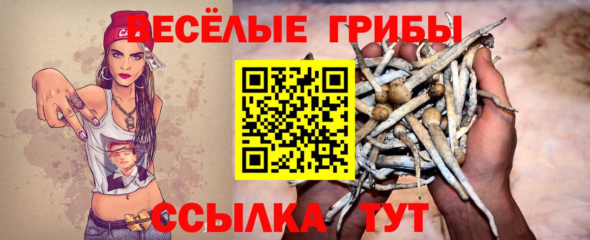 Домодедово  Псилоцибиновые грибы мухоморы  Вход с VPN 