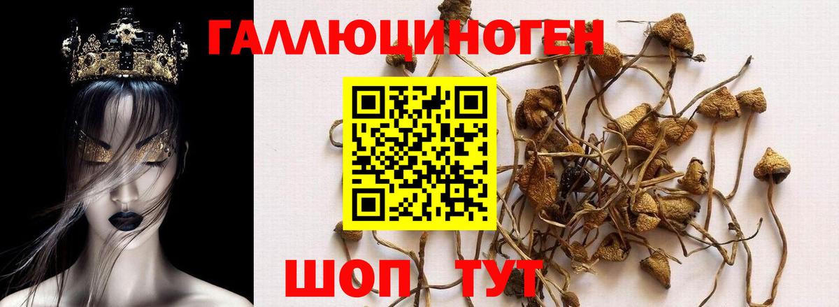 Псилоцибиновые грибы прущие грибы Домодедово